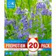 English Bluebells 'Hyacinthoides Non-Scripta' - Promotion Pack of 20 Bulbs
