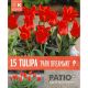 Tulip Park Dreamway - Patio Collection