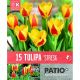 Patio Pack Tulip Kaufmanniana Stresa
