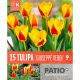 Tulip Giuseppe Verdi - Patio Collection