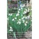 Leucojum Aestivum (Woodland Garden Collection)
