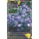 Anemone Blanda Blue Shades (Woodland Garden Collection)