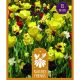 Nature's Friends Bulb Collection - Yellow & Maroon Shades