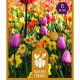 Nature's Friends Bulb Collection - Pastel Shades