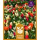 Nature's Friends Bulb Collection - Sunshine Shades