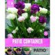 Patio Container Collection - Tulip Double Pink, Purple & White
