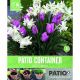 Patio Container Collection - Tulip Pink & Narcissus White