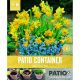 Patio Container Pack Narcissus & Scilla