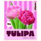 Lovely Combinations - Tulip Duopack Double Sweet Pink Mix