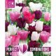 Perfect Combinations - Tulip Pink, White & Purple Blend