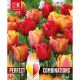 Perfect Combinations - Tulip Red, Orange & Yellow Blend