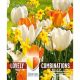 Lovely Combinations - Tulip Orange/White & Narcissus Yellow/Orange