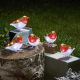 Battery Operated InLit Ice LED Robins - Set of 5