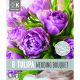 Tulip Wedding Bouquet (Premium Bulb Collection)
