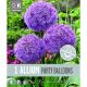 Allium Party Balloons (Premium Bulb Collection)