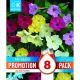 Mirabilis Jalapa Mixed - Promotion Pack of 8