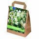 United Colours Trio Pack Collection - White