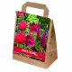 United Colours Trio Pack Collection - Red
