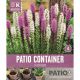 Patio Container Collection - Liatris Spicata Sorbet Shades