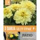 Dahlia Gallery Serenade (Patio Container Collection)