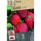 Grow, Cook & Eat - Strawberry Fragaria Ostara