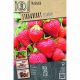 Grow, Cook & Eat - Strawberry Fragaria Elsanta
