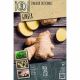 Grow, Cook & Eat - Ginger Zingiber Officinale