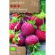 Grow, Cook & Eat - Strawberry Fragaria Framberry