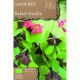 Grow, Cook & Eat - Salad Oxalis Deppei
