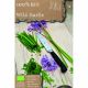 Grow, Cook & Eat - Tulbaghia Wild Garlic