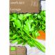Grow, Cook & Eat - Lovage Levisticum Officinale