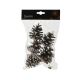 Natural Pinecones with White Tips - Pack of 5