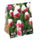 Tulip Double Ice Cream - Corn of Flavour Tulip