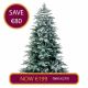 7ft Frozen Donard Spruce Christmas Tree