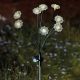 8-Stem FloraLights Solar Light - Warm White