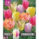 Perfect Combinations Tulip Soft Tones Blend