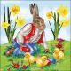 Napkin 33x33cm Colourful Easter (Pack of 20)
