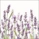 Napkin 33x33cm Lavender Shades White (Pack of 20)