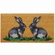 Coir Mat Hare 45x75