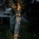 200 Smart String LED Light - Cool/Warm White