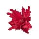 Brilliant Burgundies Clip-On Poinsettia - Style 2