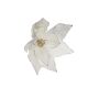 Cream & Champagne Clip-On Poinsettia - Style 4