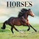 Horses 2022 Wall Calendar