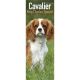 Cavalier King Charles 2022 Slim Calendar