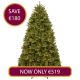 9ft Newberry Spruce 'Feel Real' Pre-Lit Christmas Tree