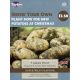 Aaron Pilot Seed Potatoes (Taster Pack of 9)