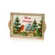 39x25cm Merry Christmas Robin Tray