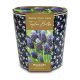 Ditsy Blue Floral Planter - Muscari