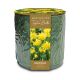 Embossed Floral Ceramic Planter - Narcissi