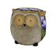 Novelty Owl Planter - Iris